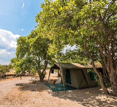 Safari en camp mobile au Botswana privatisé avec un ranger sur les pistes de l'Okavango à Chobe, via Moremi et la rivière Khwai