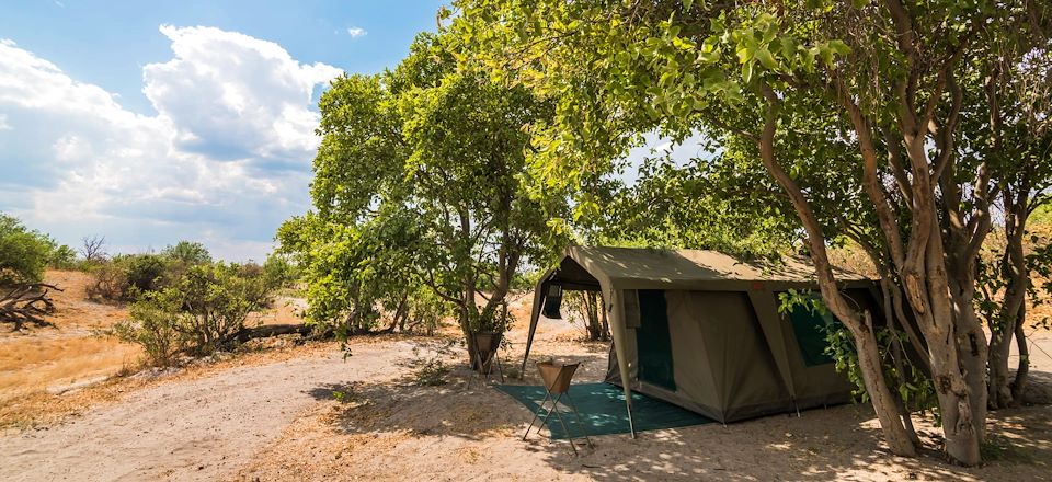 Safari en camp mobile au Botswana privatisé avec un ranger sur les pistes de l'Okavango à Chobe, via Moremi et la rivière Khwai