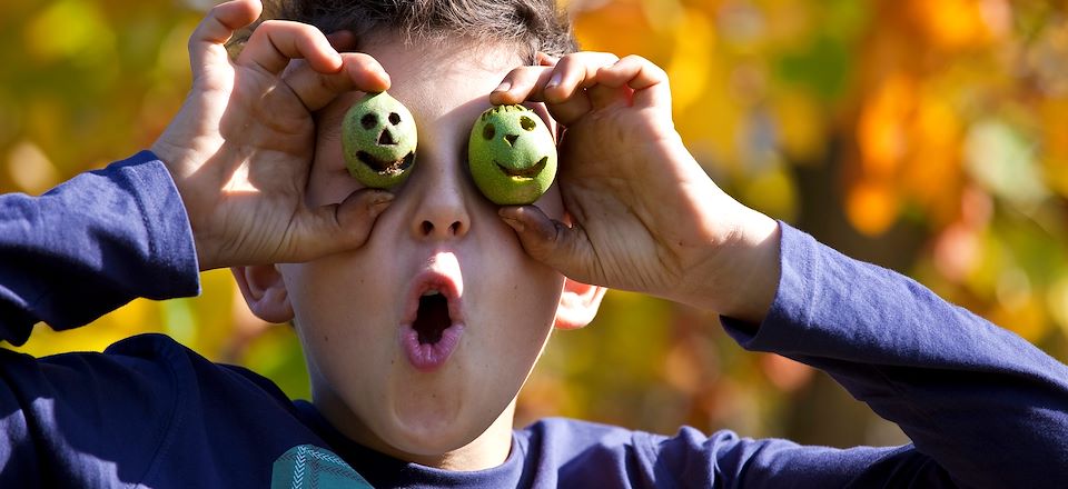 Voyage au Québec et à New York à l'automne avec Montréal et les Chutes du Niagara, entre été indien et citrouilles d'Halloween