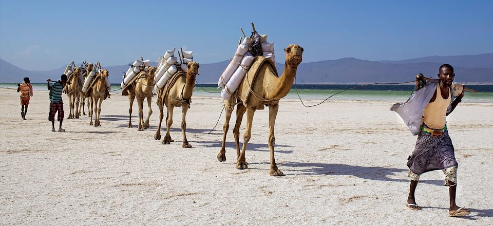 Trek chamelier à Djibouti du Lac Abbé au Lac Assal, puis aux Monts Goda, plages et snorkeling Ras Ali, Arta Plage, l'île Moucha