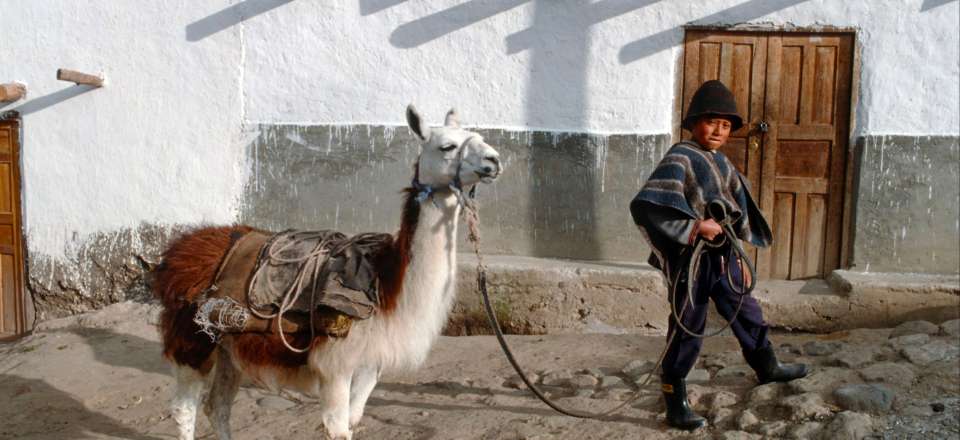 Au pays du lama qui rit