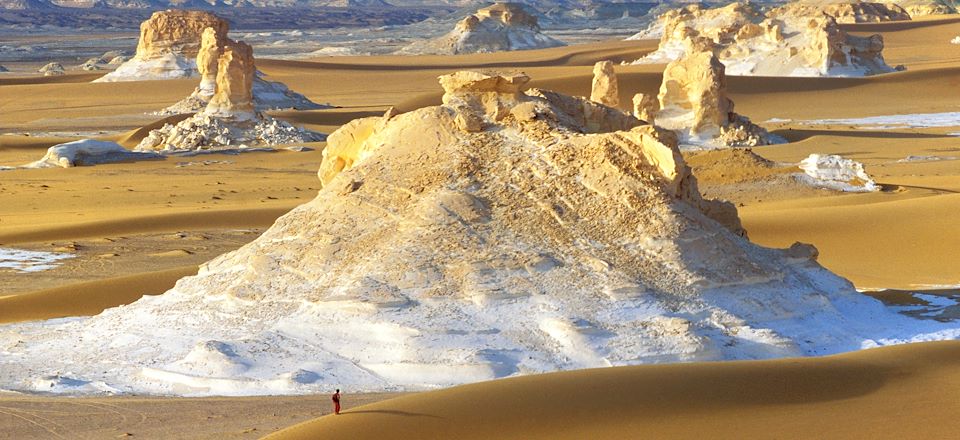 Exploration des oasis égyptiennes et du désert blanc : entre nature, histoire et paysages désertiques