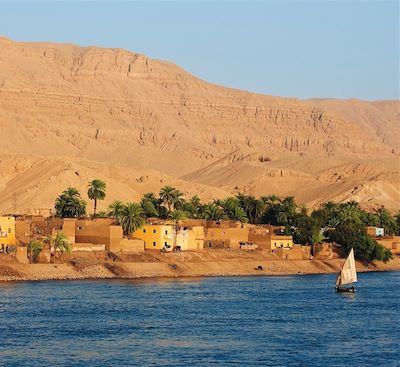 Balade au cœur de l'histoire de l'Egypte des pharaons et du Nil : Karnak, Philae, Edfou, les îles et les souks