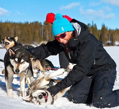 Safari arctique au parc national de Hossa. Au programme : cani-rando, randonnée en traineau à chiens, journée trappeur