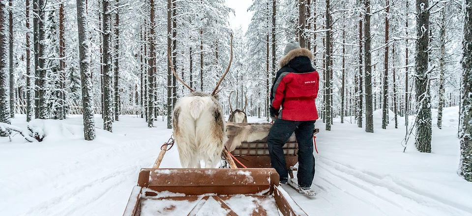 Voyage au pays du Père Noël en Laponie alliant traineau à chiens, motoneige électrique et traineau à rennes