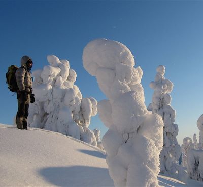 Aventure à raquette au coeur du parc naturel d’Hossa, dans l'immensité blanche de la Laponie 