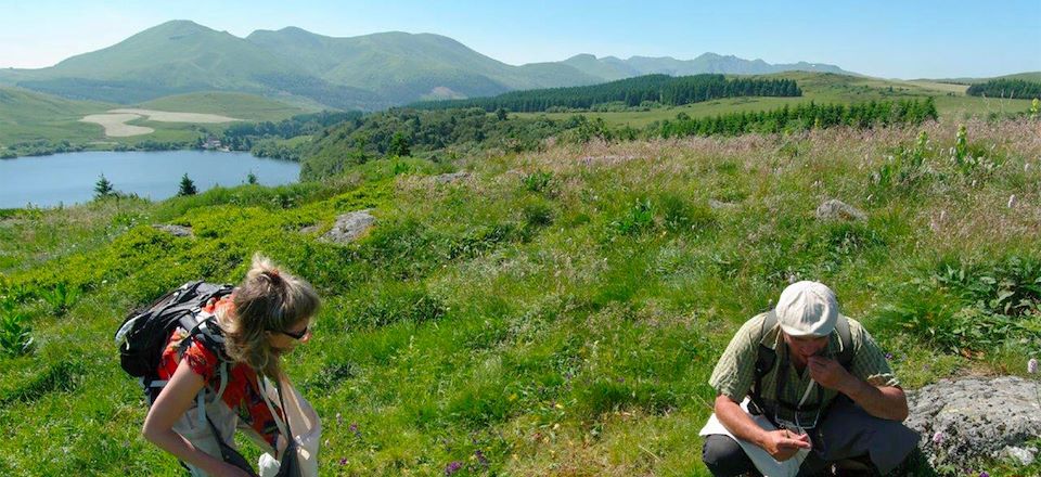 Randonnée botanique en Auvergne avec un duo de guides spécialistes. Un court séjour original en pleine nature.