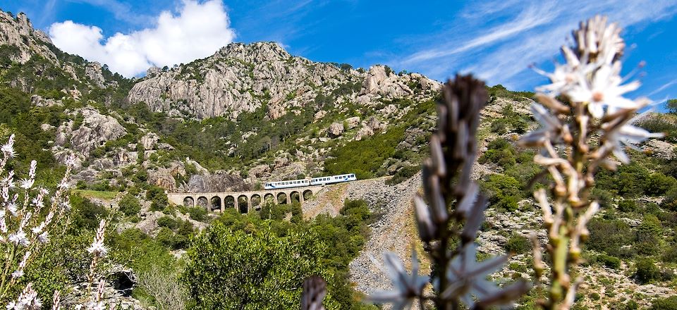 Un circuit en train à travers la Corse du sud au nord ponctué de belles rencontres et découvertes 