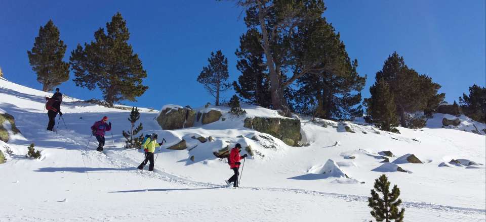 Les flocons d'Andorre