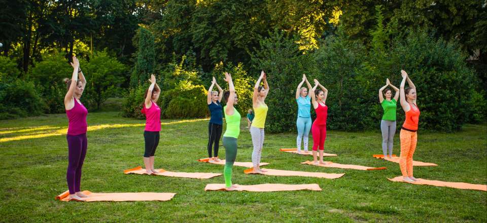 Les yogis du Sud-Ouest