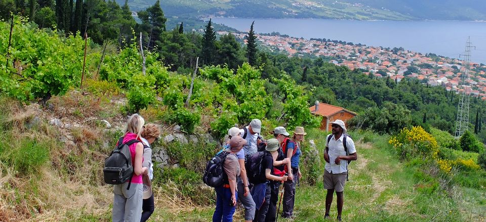 Que visiter en Croatie ? Ce voyage de 12j vous fait découvrir le meilleur du pays, des villes et des îles de Zagreb à Dubrovnik