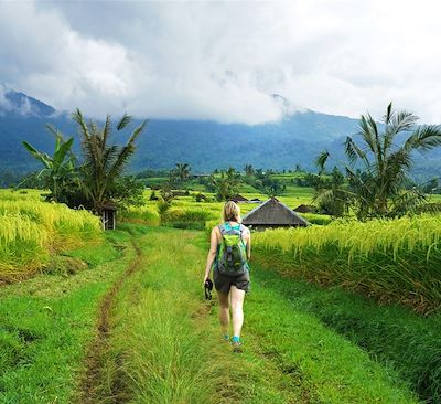 Trek à Bali  :10 jours de marche hors sentiers battus entre mer et rizières, en autonomie avec GPS! Une aventure unique.
