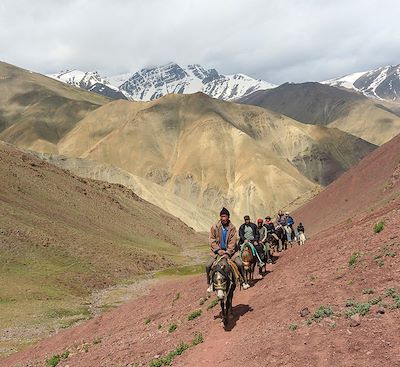 Randonnée à cheval dans le Spiti entre gorges profondes, cimes himalayennes, villages et monastères tibétains