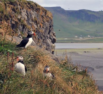 Voyage famille en Islande à la découverte des merveilles naturelles du Sud en autotour : Cercle d’or, Hekla, Laki, Skaftafell, Vík