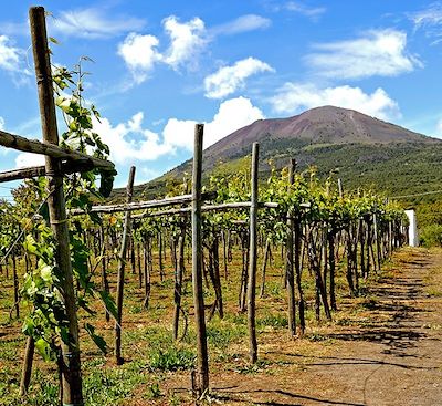 Itinéraire d'exception pour une savoureuse découverte des vins et volcans à Naples et en Sicile en compagnie de Charles Frankel