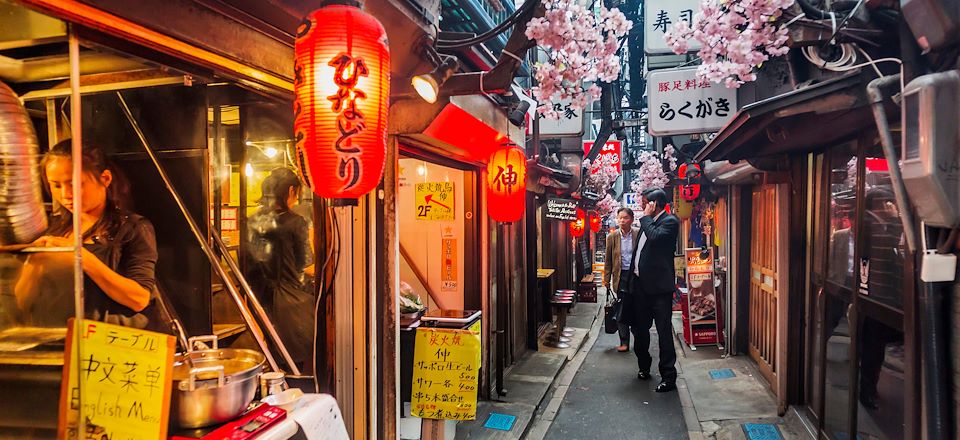 Le grand tour des incontournables en autonomie : la Golden Road en train de Kyoto à Tokyo, via Koyasan, Nara, Hakone et Nikko