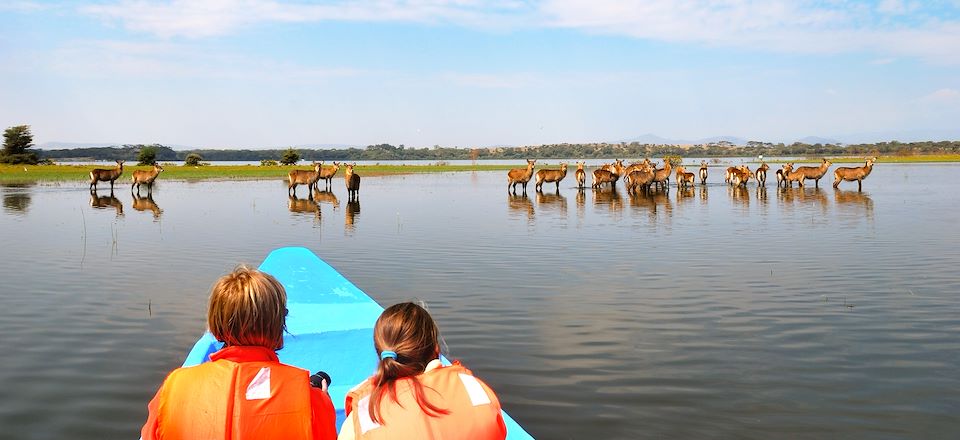 Safaris en 4X4, à pied, à vélo et en bateau dans les parcs du Lac Nakuru, Amboseli et Naivasha et plages paradisiaques de Diani 