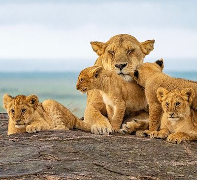 Safari avec des enfants au Kenya, des plaines de savane du Masai Mara aux plages dorées de Zanzibar