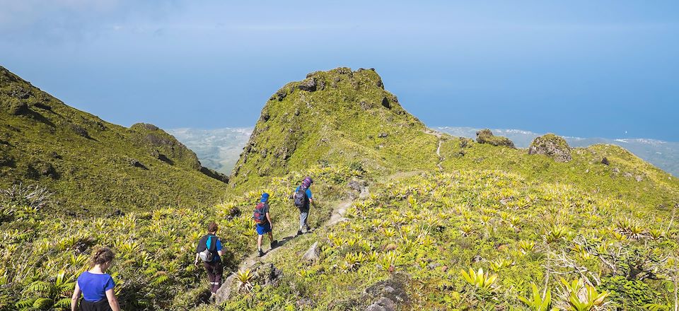 Randonnée en Martinique dans les sites incontournables : morne Larcher, presqu'île de la Caravelle, montagne Pelée...