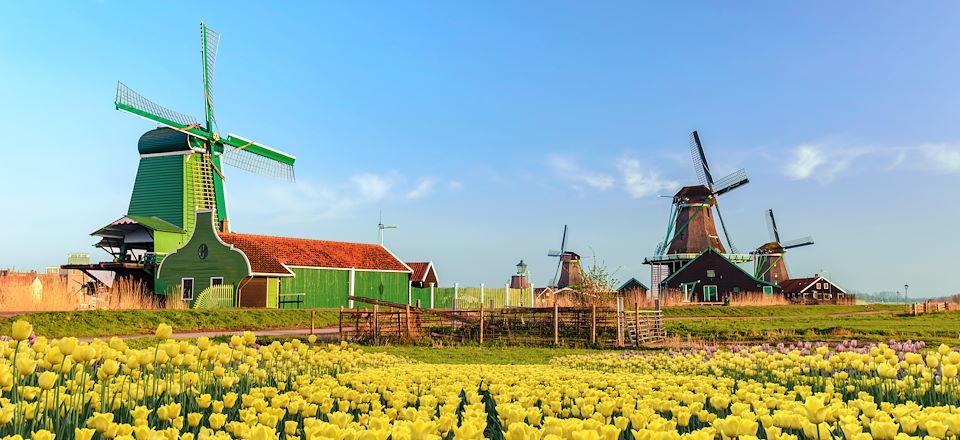 Voyage à vélo et en péniche aux Pays-Bas sur la Route des Tulipes accompagné d'un guide anglophone