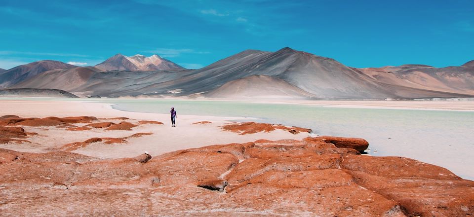 Grand panorama andin : de l'Atacama chilien à Cusco et la Vallée Sacrée des Incas, via le Sud Lipez bolivien et le lac Titicaca !