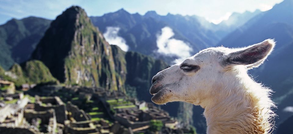 Rires et souvenirs en famille, de l'Amazonie à la Vallée Sacrée des Incas, via le montagne "arc-en-ciel" et les îles du Titicaca !