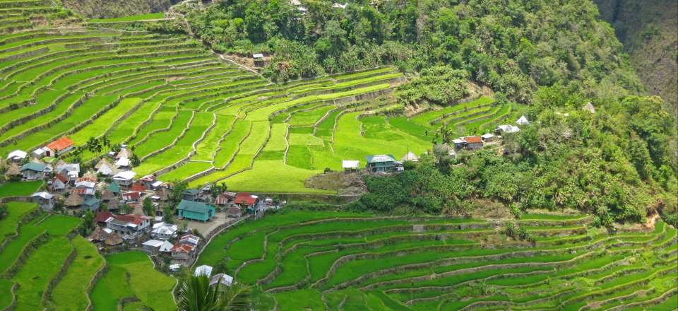 Tribus Ifugao et archipel de Busuanga 