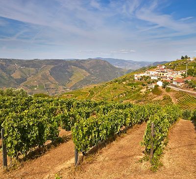 Le Portugal en van: 9 jours pour découvrir Nord du Portugal, de Peneda Geres à la vallée du Douro en passant par Guimaraes 