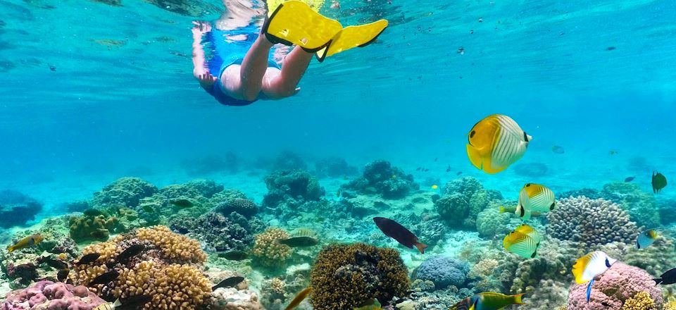 Randonnée à Moorea et plongée à Rangiroa et Fakarava. Une aventure vingt mille lieues sous les mers