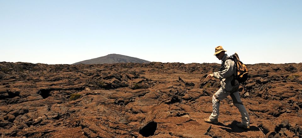 Trek aux Grand Bénare et piton des Neiges puis randonnée sportive dans les cirques volcaniques de La Réunion