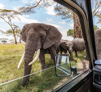 Safari privé en Tanzanie dédié aux personnes à mobilité réduite, du parc Serengeti au cratère Ngorongoro via le lac Manyara