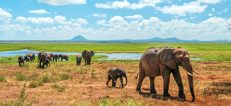 Safaris 4X4 en Lodge dans les plus beaux parcs du Nord de la Tanzanie et détente à Zanzibar...