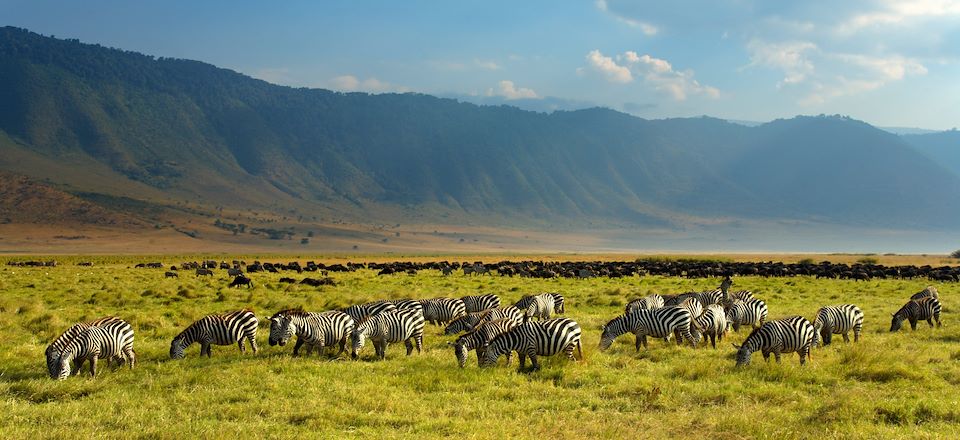 Ascenscion du Kili par la voie Machame, safari en lodge dans les parcs Tarangire, Manyara et N'Gorongoro et détente à Zanzibar ! 