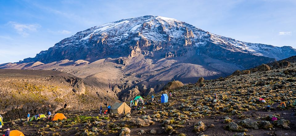 Ascension du Kilimandjaro par la voie Machame de la forêt tropicale jusqu'au glacier... et réconfort à Zanzibar !