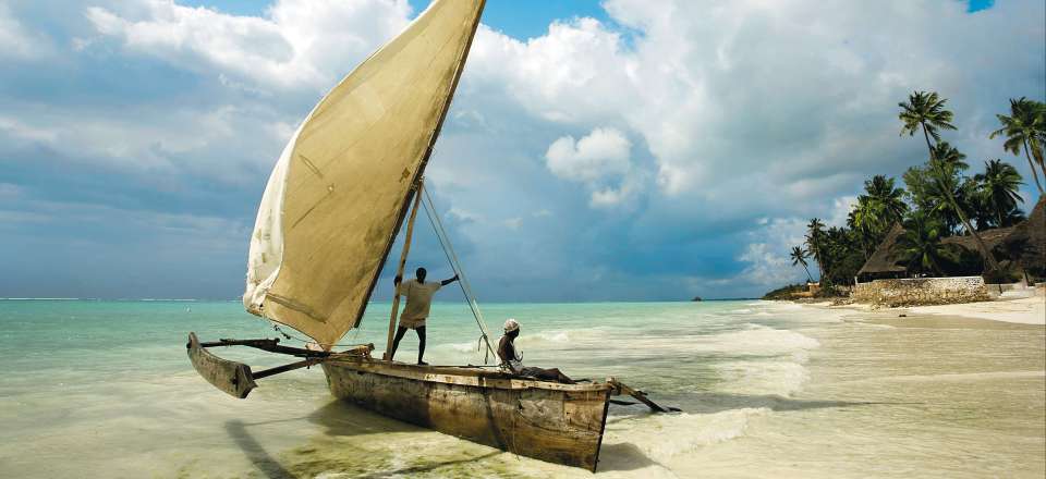 Des plaines du Serengeti aux plages de Zanzibar 