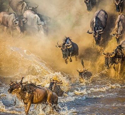 Safari sur la trace de la grande migration des Gnous en Tanzanie, au coeur du Serengeti, avant les douces plages de Zanzibar..