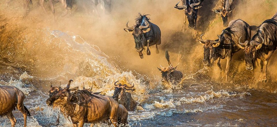 Safari sur la trace de la grande migration des Gnous en Tanzanie, au coeur du Serengeti, avant les douces plages de Zanzibar..