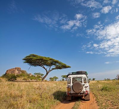 Safari en Tanzanie et Zanzibar avec une aventure en 4x4 tente de toit, des grands parcs du nord aux plages de l’océan Indien