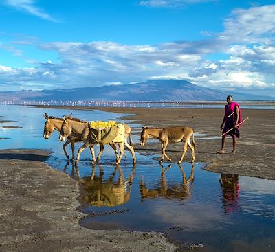 Safari et randonnée en Tanzanie, du Tarangire au Serengeti en passant par le Lac Natron, avec guide francophone en 4x4 privatisé