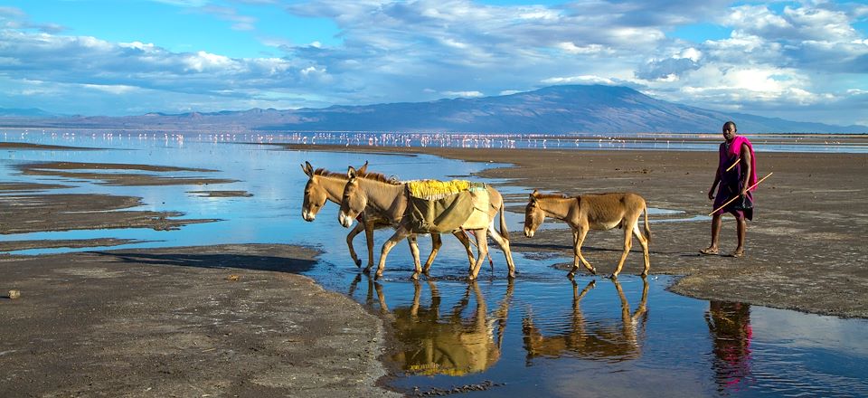 Safari et randonnée en Tanzanie, du Tarangire au Serengeti en passant par le Lac Natron, avec guide francophone en 4x4 privatisé