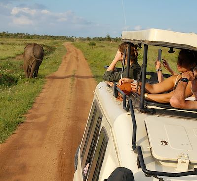 Safari privé en Tanzanie avec guide francophone, du lac Manyara au cratère Ngorongoro, via le parc Tarangire et Zanzibar