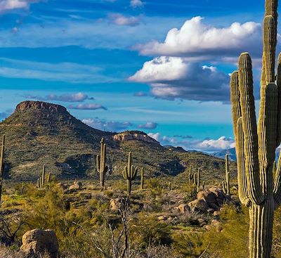 Trek dans une ambiance Far West au coeur du desert de Sonora : 3J de Trek dans le P.N de Saguaro et ascension sommet Picacho