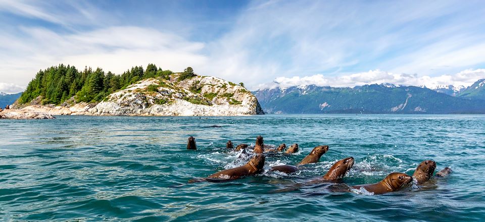 Croisière en voilier à travers l'archipel Alexandre, au Sud de l'Alaska, une aventure sur les flots du mythique «Inside Passage»