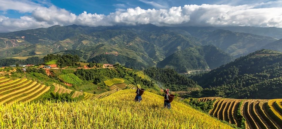 21 jours pour traverser le Vietnam du Nord au Sud avec alternance de trek, visites et balades en bateaux.