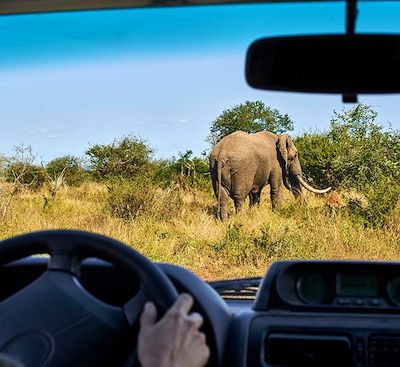 Safari en Afrique du Sud du sud au nord du parc Kruger en 4x4 tente de toit et nuits en plein bush dans les Rest Camps du parc